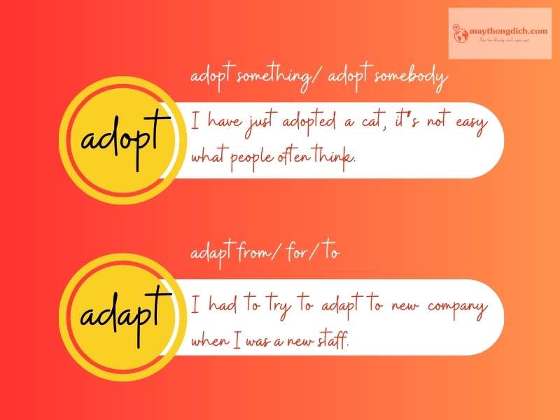 Phân biệt Adopt và Adapt