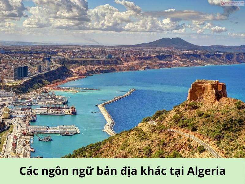 Các ngôn ngữ bản địa khác tại Algeria