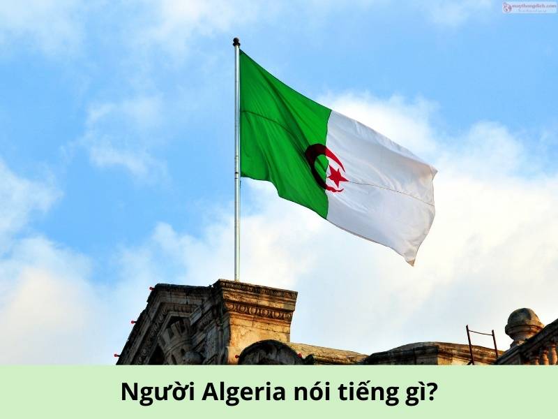 Người Algeria nói tiếng gì? Ngôn ngữ chính thức tại Algeria