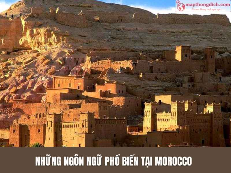 Những ngôn ngữ phổ biến tại Morocco