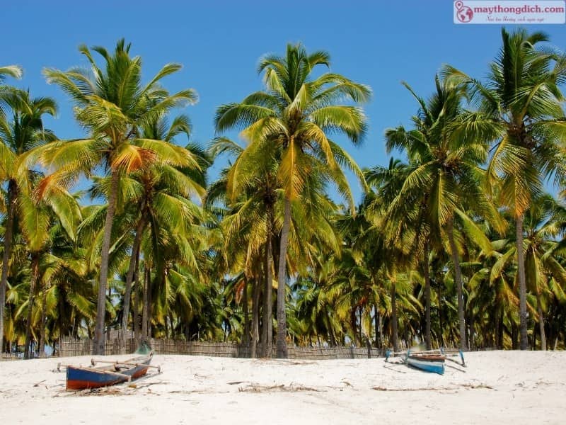 Mozambique có 43 ngôn ngữ được sử dụng