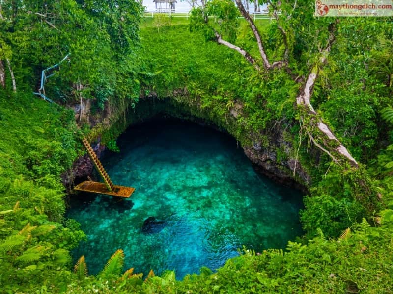 Ngôn Ngữ Thiểu Số Và Ngôn Ngữ Du Nhập ở Samoa