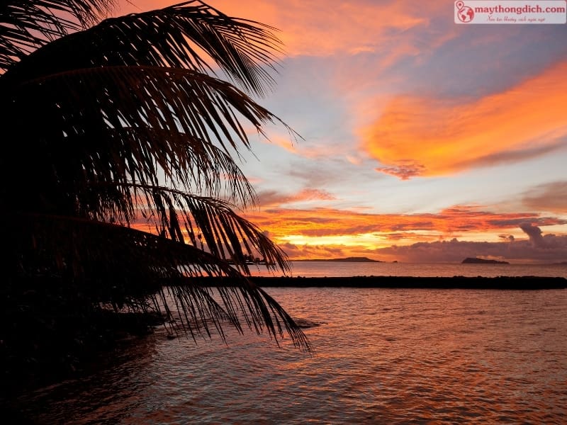 Tìm hiểu về tiếng Samoa ngôn ngữ chính thức tại Samoa