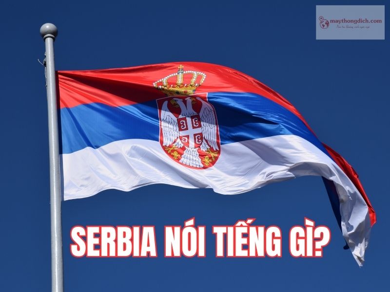 Serbia nói tiếng gì?