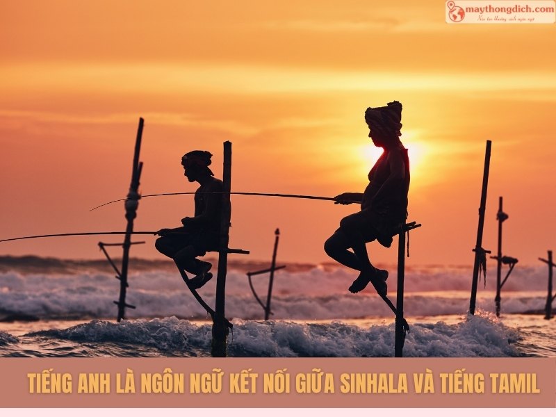 Tiếng anh là ngôn ngữ kết nối giữa Sinhala và tiếng Tamil