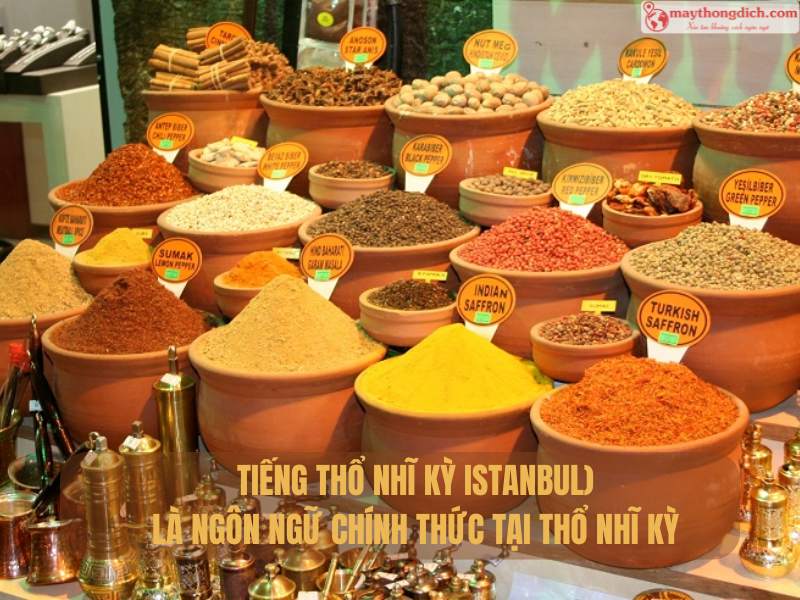 Những Câu Nói Tiếng Thổ Nhĩ Kỳ Phổ Biến