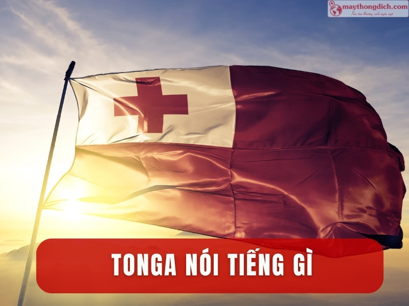 Tonga nói tiếng gì