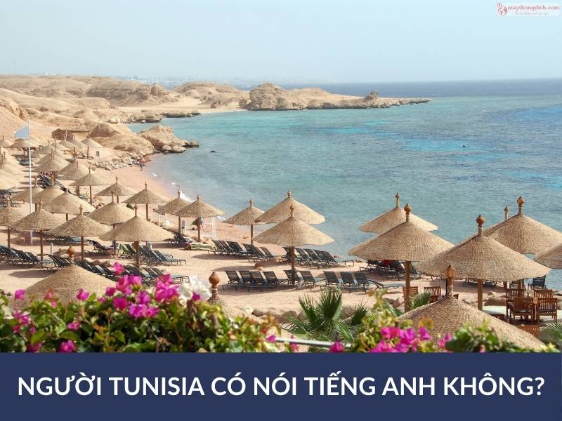 Người Tunisia có nói tiếng Anh không?