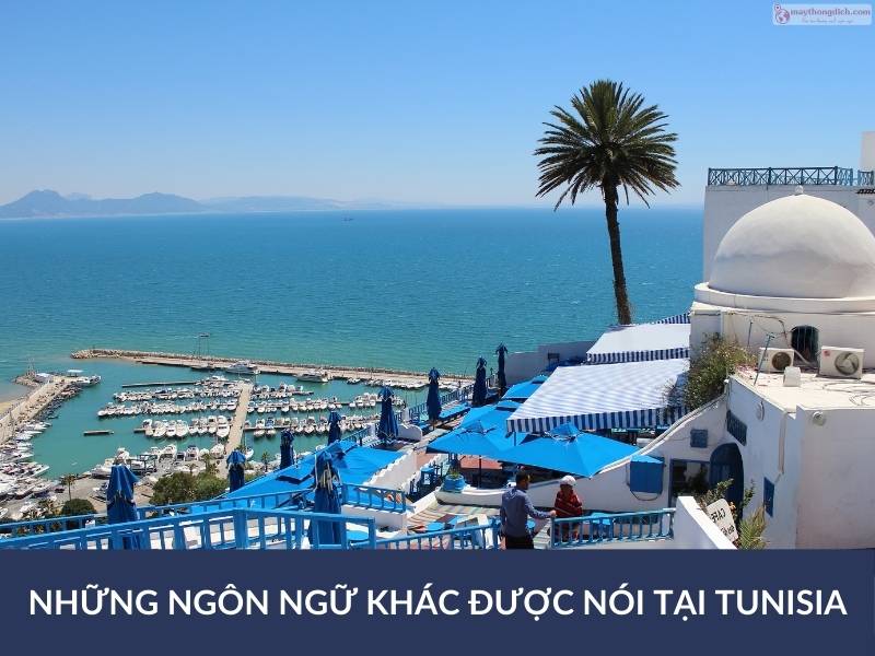 Những ngôn ngữ khác được nói tại Tunisia