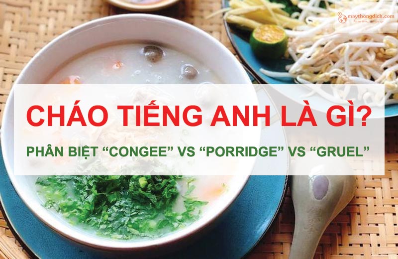 Cháo tiếng Anh là gì? Phân biệt Congee vs Porridge vs Gruel